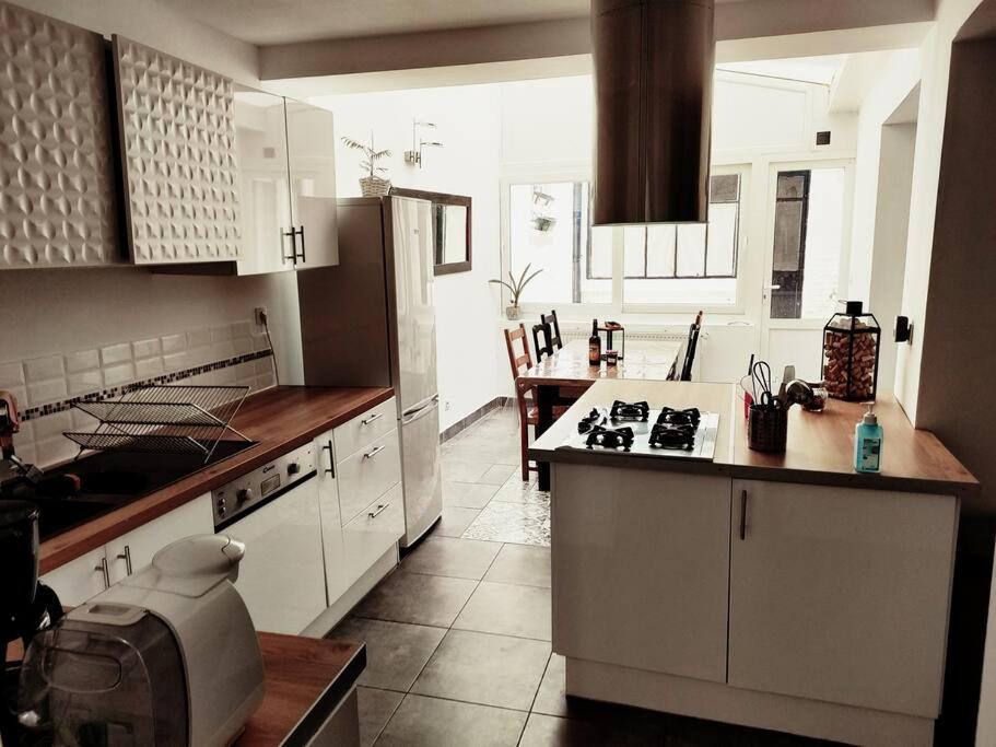 Superbe Maison Renovee Avec Agreable Jardin Sainte-Catherine  Eksteriør bilde