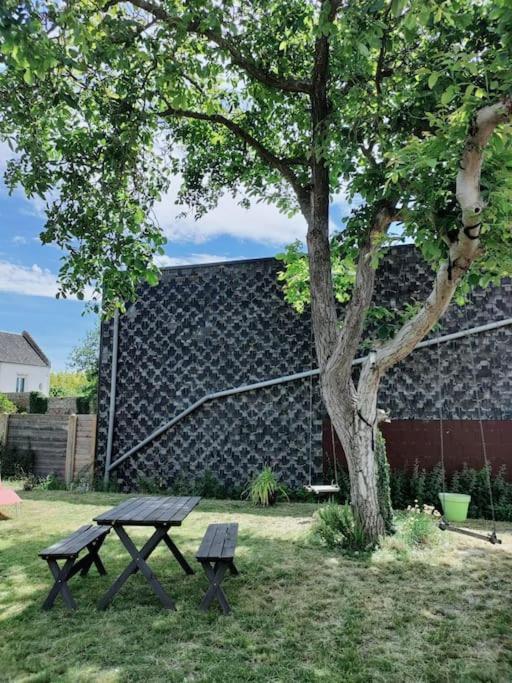 Superbe Maison Renovee Avec Agreable Jardin Sainte-Catherine  Eksteriør bilde